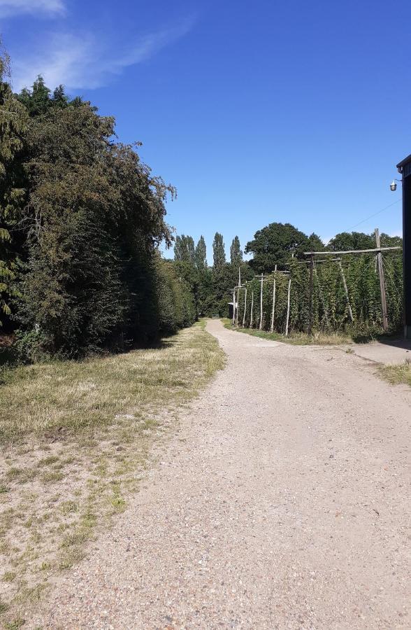 China Farm Barn Bed & Breakfast Canterbury Dış mekan fotoğraf